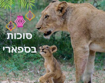סוכות בספארי בקניה - טיול ספארי בקניה