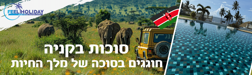 סוכות 2025 בקניה