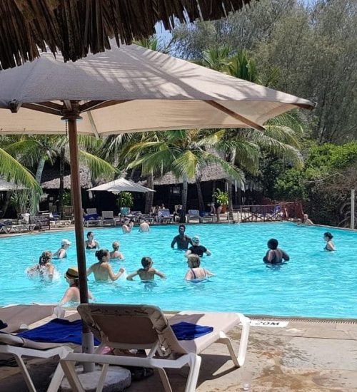 WhatsApp Image 2026-01-05 at 10.09.33 (1)